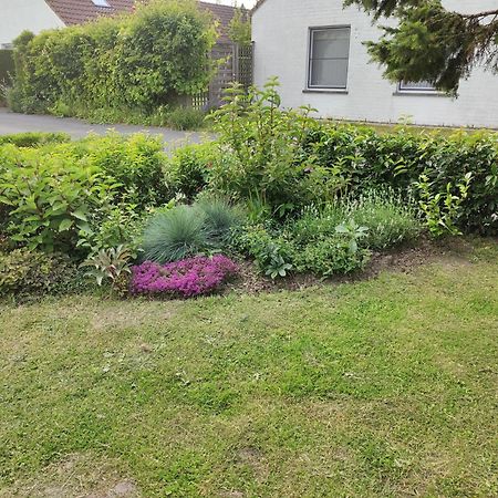 Cosy Vakantie Huis De Haan Exteriör bild